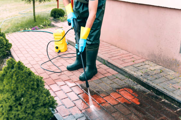 Best Driveway Pressure Washing  in Rocky Point, NY